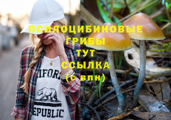дмт Навашино