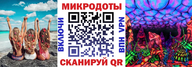 Галлюциногенные грибы Psilocybe  где можно купить наркотик  Сусуман 